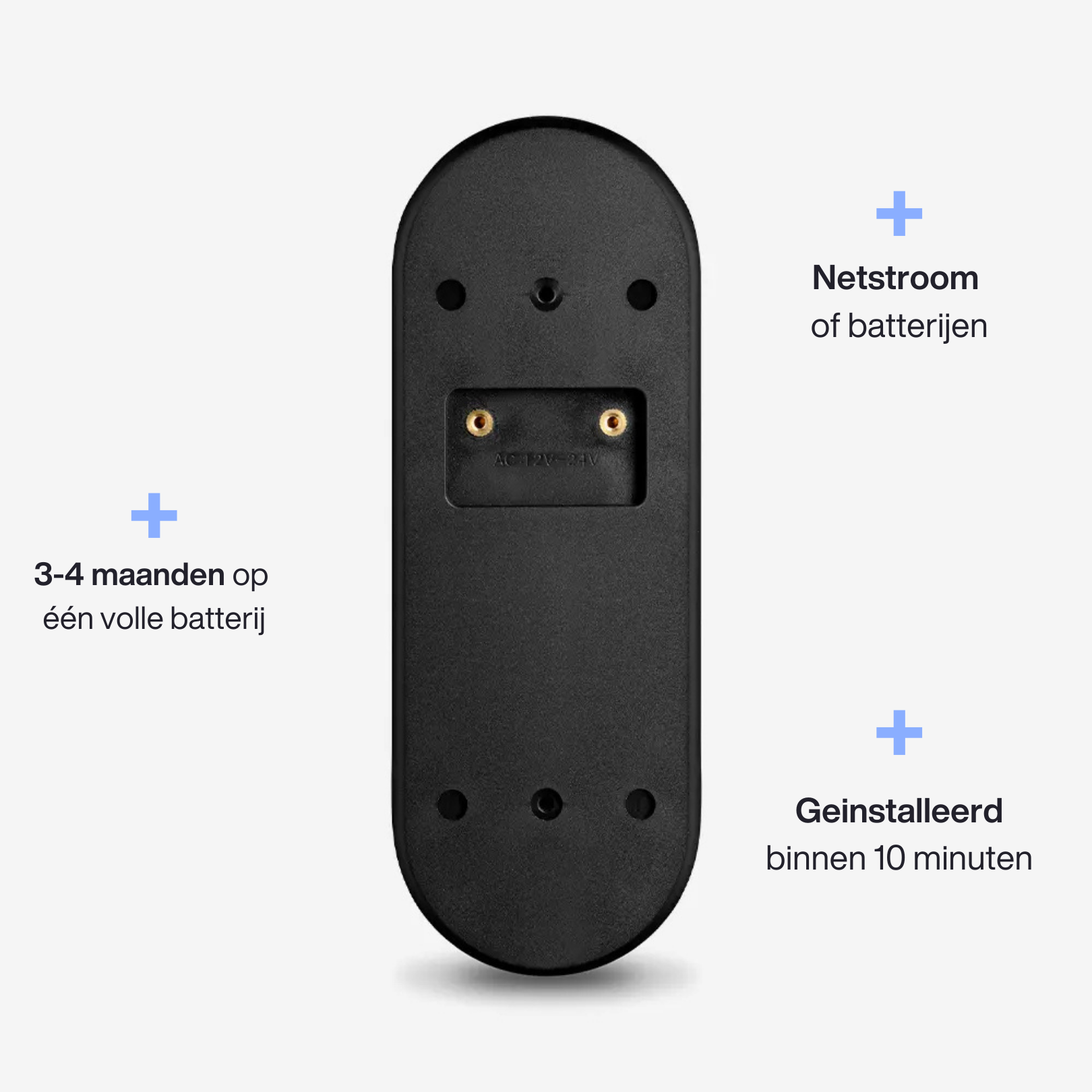 v2-dutch